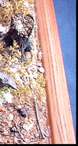 The diorama base was built in tiers using foam board and Styrofoam.