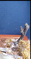 I wouldn't recommend anyone attempt it if you are not an experienced builder, and have worked with resin before.
